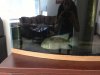 fish 2.jpeg