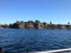 IMG_1778.jpg