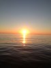 IMG_1785.jpg