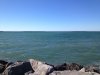 IMG_1766.jpg