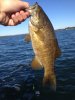 IMG_1770.jpg