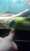uploadfromtaptalk1380493121127.jpg