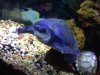 fly river turtlepic 1.jpeg fly river turtlepic 1.jpeg