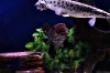 IMG_7521#4.JPG