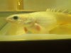 IMG_20131003_181609.jpg