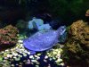 $T2eC16J,!)4FIZyBQ+tnBSS(4GgY9w~~48_20.JPG