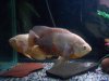 100_1026.jpg