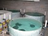 DSCN3233.JPG