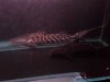 20131001_192348.jpg 20131001_192348.jpg