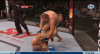 814119262.gif