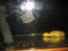 IMG_8343.JPG