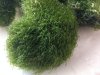 $T2eC16dHJHwFG2Ck(idcBSVv,iooqg~~60_57.JPG $T2eC16dHJHwFG2Ck(idcBSVv,iooqg~~60_57.JPG