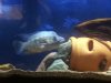 20131004_184705.jpg