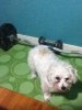 ImageUploadedByMonsterAquariaNetwork1381902375.933102.jpg