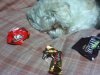 ImageUploadedByMonsterAquariaNetwork1381902416.168558.jpg