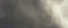 godzilla+1.gif