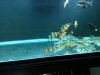 uploadfromtaptalk1382119335146.jpg