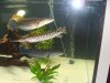 DSC04477.JPG