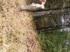 uploadfromtaptalk1382355561215.jpg
