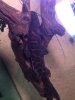 ImageUploadedByMonsterAquariaNetwork1382897234.340093.jpg