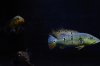 DSC_0324.JPG