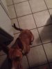 ImageUploadedByMonsterAquariaNetwork1384166356.140723.jpg ImageUploadedByMonsterAquariaNetwork1384166356.140723.jpg