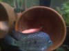 IMG-20120616-00510.jpg
