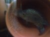 IMG-20120616-00512.jpg