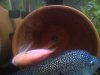 IMG-20120616-00513.jpg