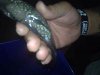 ImageUploadedByMonsterAquariaNetwork1384393205.386907.jpg