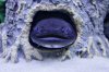 IMG_4366#2.JPG
