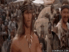 camelkop13.gif camelkop13.gif