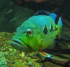 IMG_0227.JPG