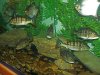 100_6019.jpg