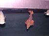 DSC06911.JPG