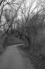 walkway.jpg