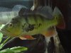 DSC01350.JPG