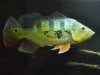 DSC01352.JPG