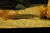 DSC_5528.JPG