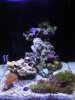 pico-reef-3.JPG