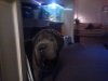 WP_000830.jpg