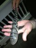 uploadfromtaptalk1386050025440.jpg