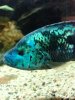 IMG_20131206_170119.jpeg