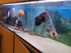 DSC_2116.jpg
