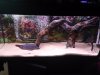 DSC_2112.jpg