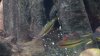 20131215_174934_4_bestshot.jpg