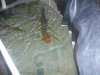 100_5393.jpg