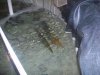 100_5395.jpg