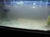DSC04950.JPG