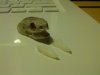 IMG_20131221_161348.jpg